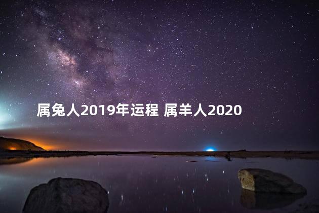 属兔人2019年运程 属羊人2020年运势运程